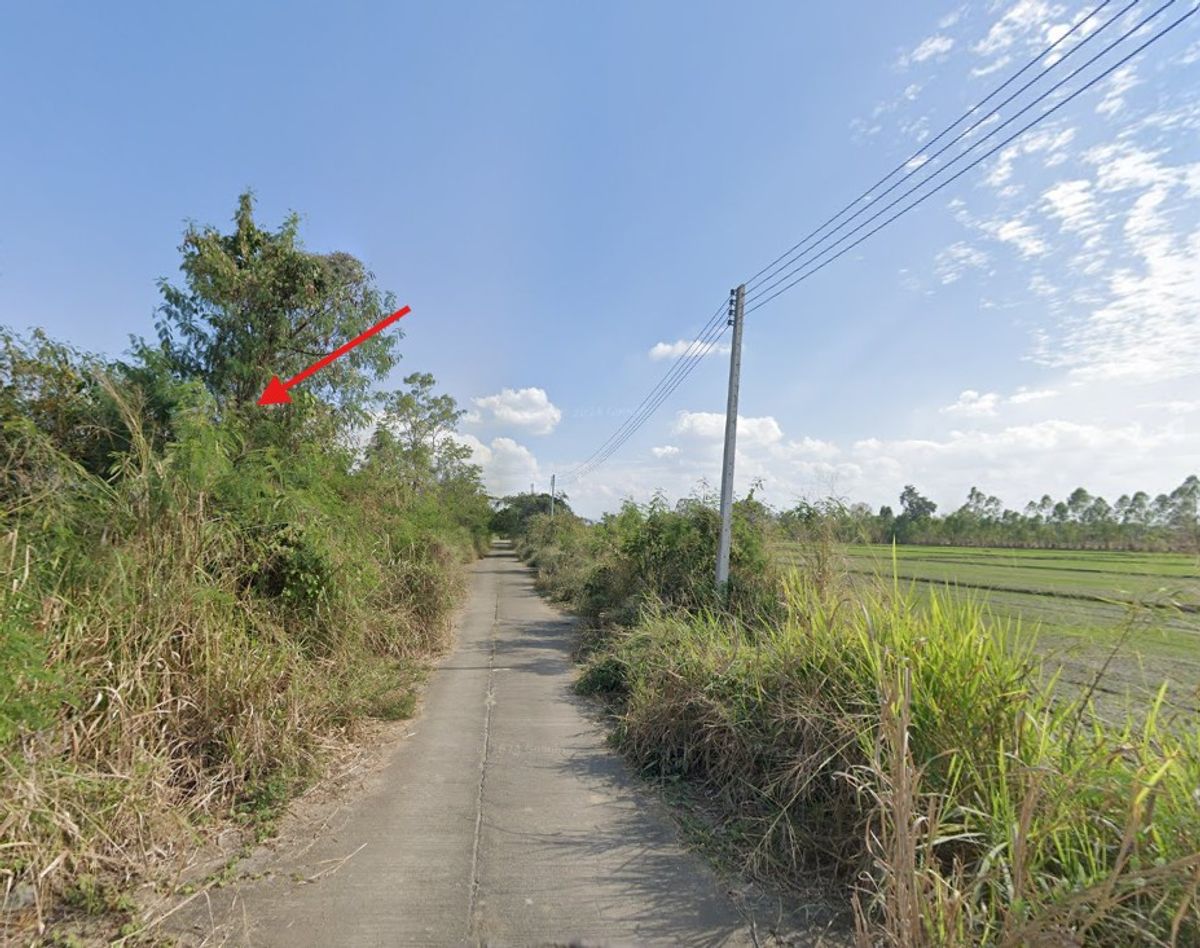 ขายที่ดินเชียงใหม่ : ขายที่ดิน สันกำแพง 113 ตร.ว. ใกล้ถนนหมายเลข 1317 และหมู่บ้านกาญจน์กนก 1