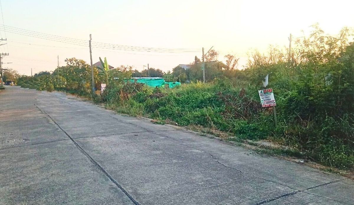 ขายที่ดินพุทธมณฑล ศาลายา : ที่ดินเปล่า 119 ตรว. ซ.เลียบคลองโยง 1 ถ.พุทธมณฑล ต.คลองโยง อ.พุทธมณฑล จ.นครปฐม