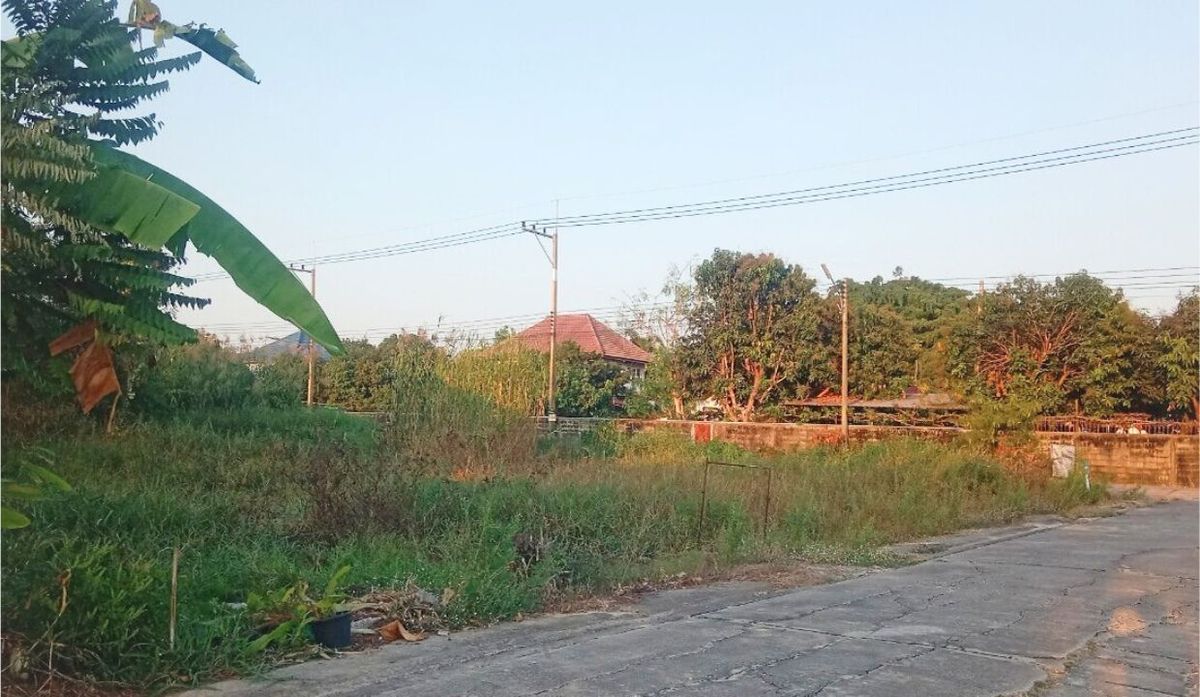 ขายที่ดินพุทธมณฑล ศาลายา : ที่ดินเปล่า 119 ตรว. ซ.เลียบคลองโยง 1 ถ.พุทธมณฑล ต.คลองโยง อ.พุทธมณฑล จ.นครปฐม