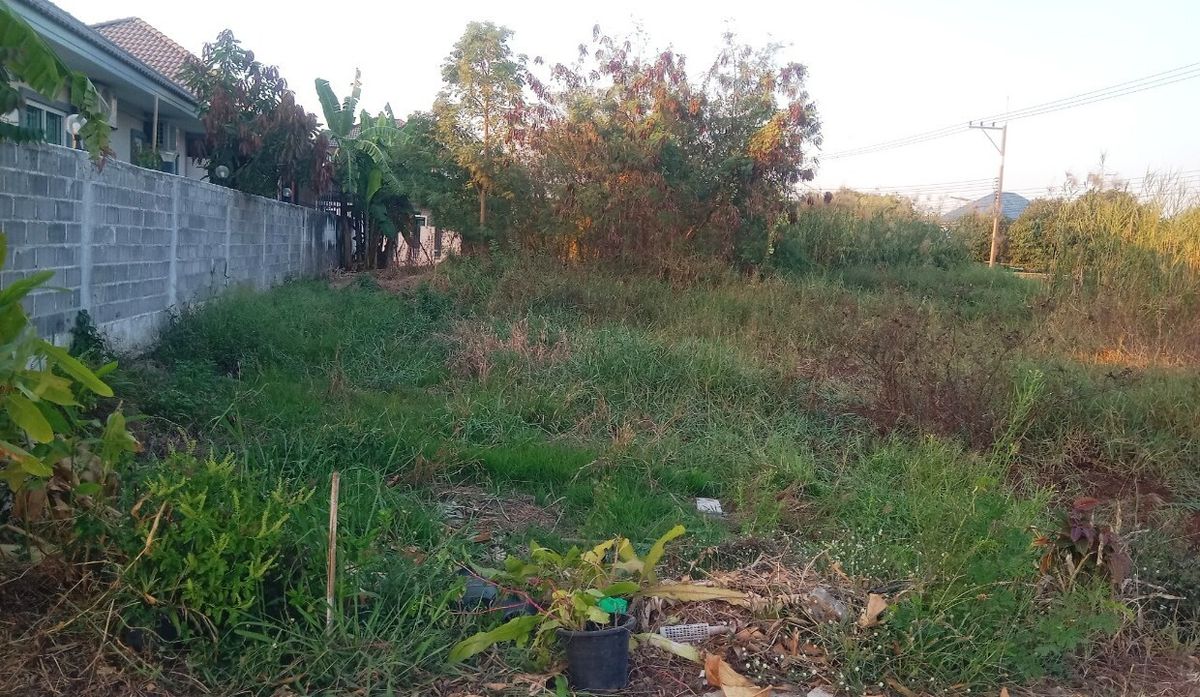 ขายที่ดินพุทธมณฑล ศาลายา : ที่ดินเปล่า 119 ตรว. ซ.เลียบคลองโยง 1 ถ.พุทธมณฑล ต.คลองโยง อ.พุทธมณฑล จ.นครปฐม