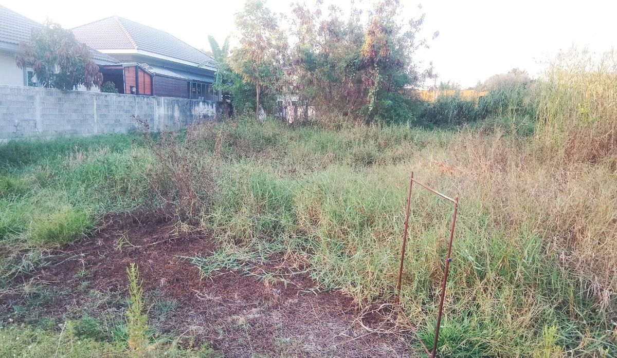 ขายที่ดินพุทธมณฑล ศาลายา : ที่ดินเปล่า 119 ตรว. ซ.เลียบคลองโยง 1 ถ.พุทธมณฑล ต.คลองโยง อ.พุทธมณฑล จ.นครปฐม