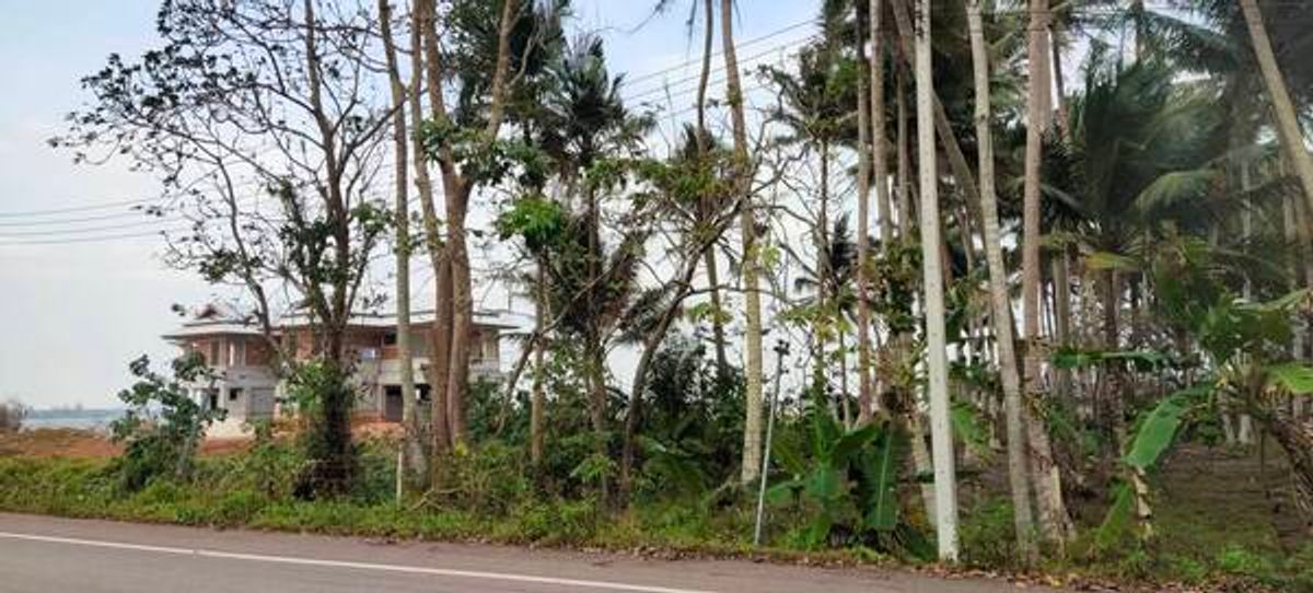 For SaleLandChumphon : Land for sale in the sea, located at the mouth of the beach, Tha Yang Subdistrict, Mueang Chumphon District, Chumphon Province