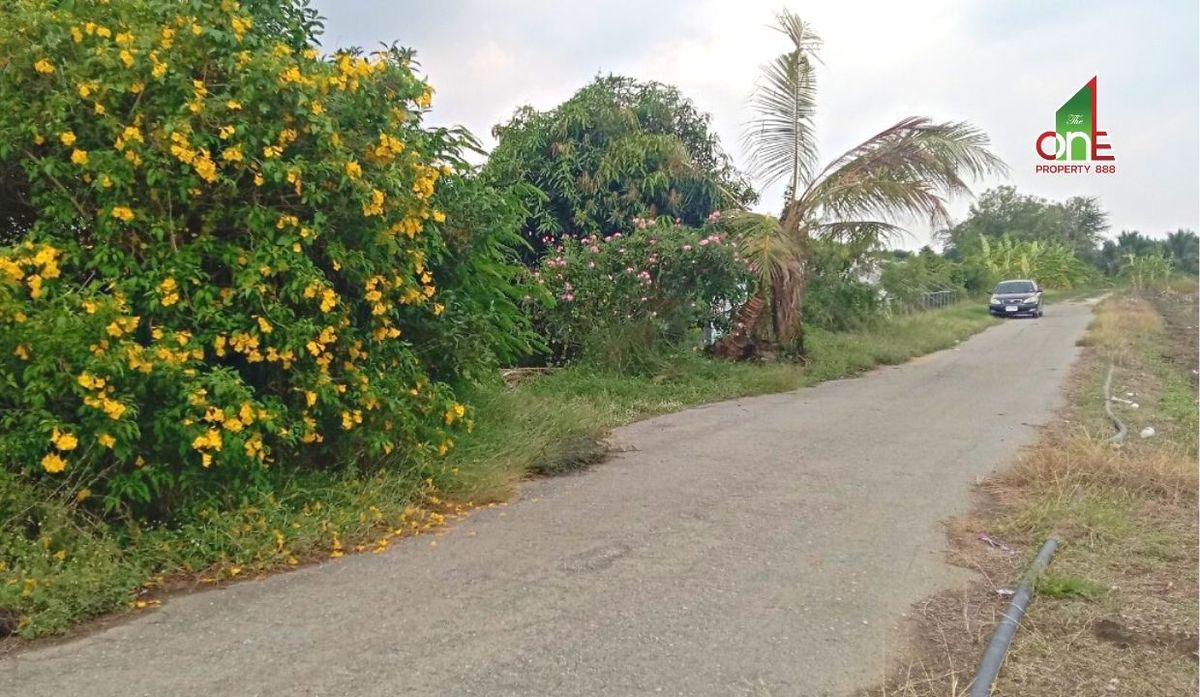 For SaleLandNakhon Pathom : Land + 2 -story house, Highway 3234, Khok Phra Chedi Subdistrict Nakhon Chai Si District, Nakhon Pathom