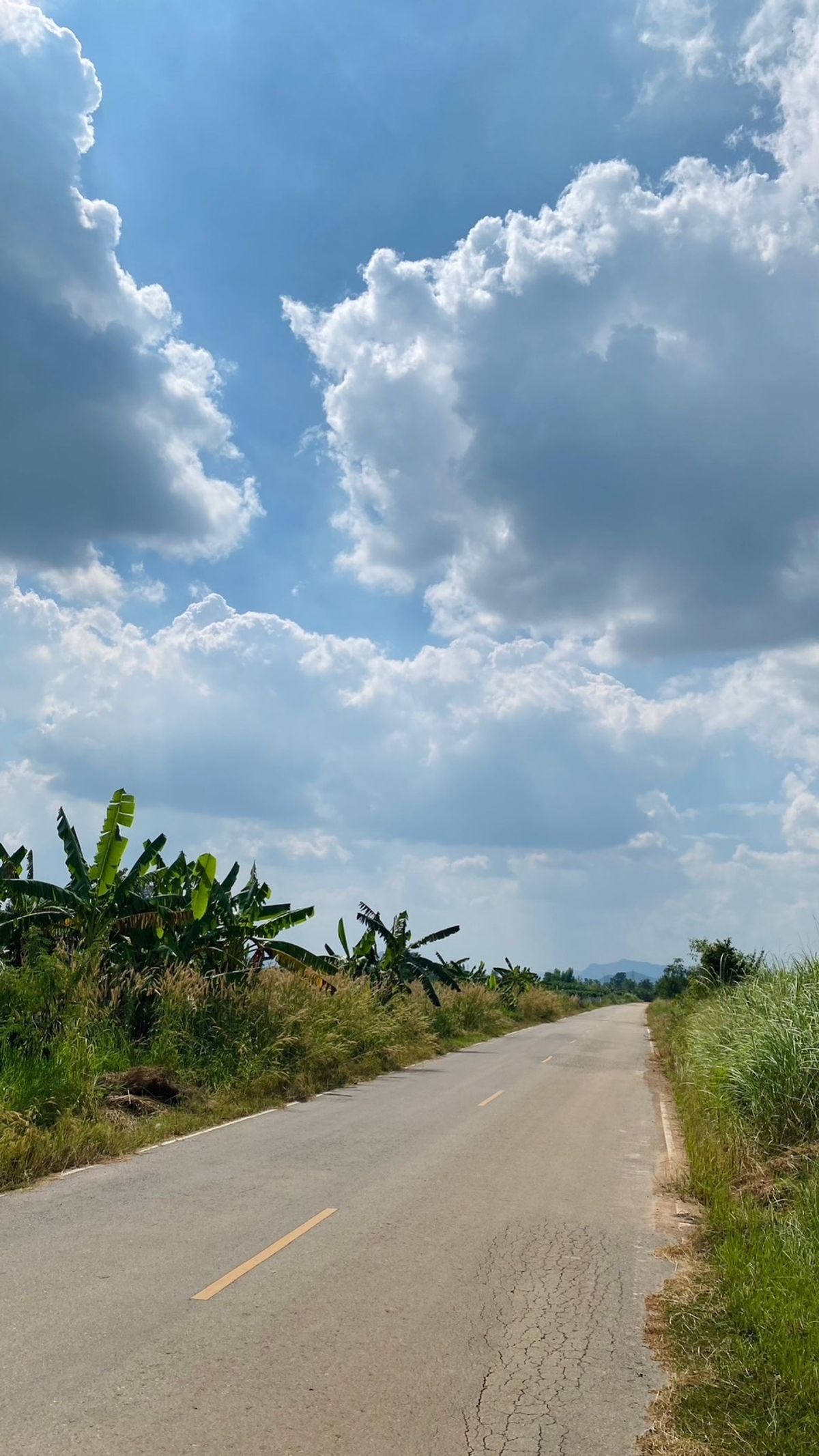 For SaleLandCha-am Phetchaburi : Land for sale in Cha -am 4 Rai 1 ngan 62 sq.w. Rai Mai Pattana