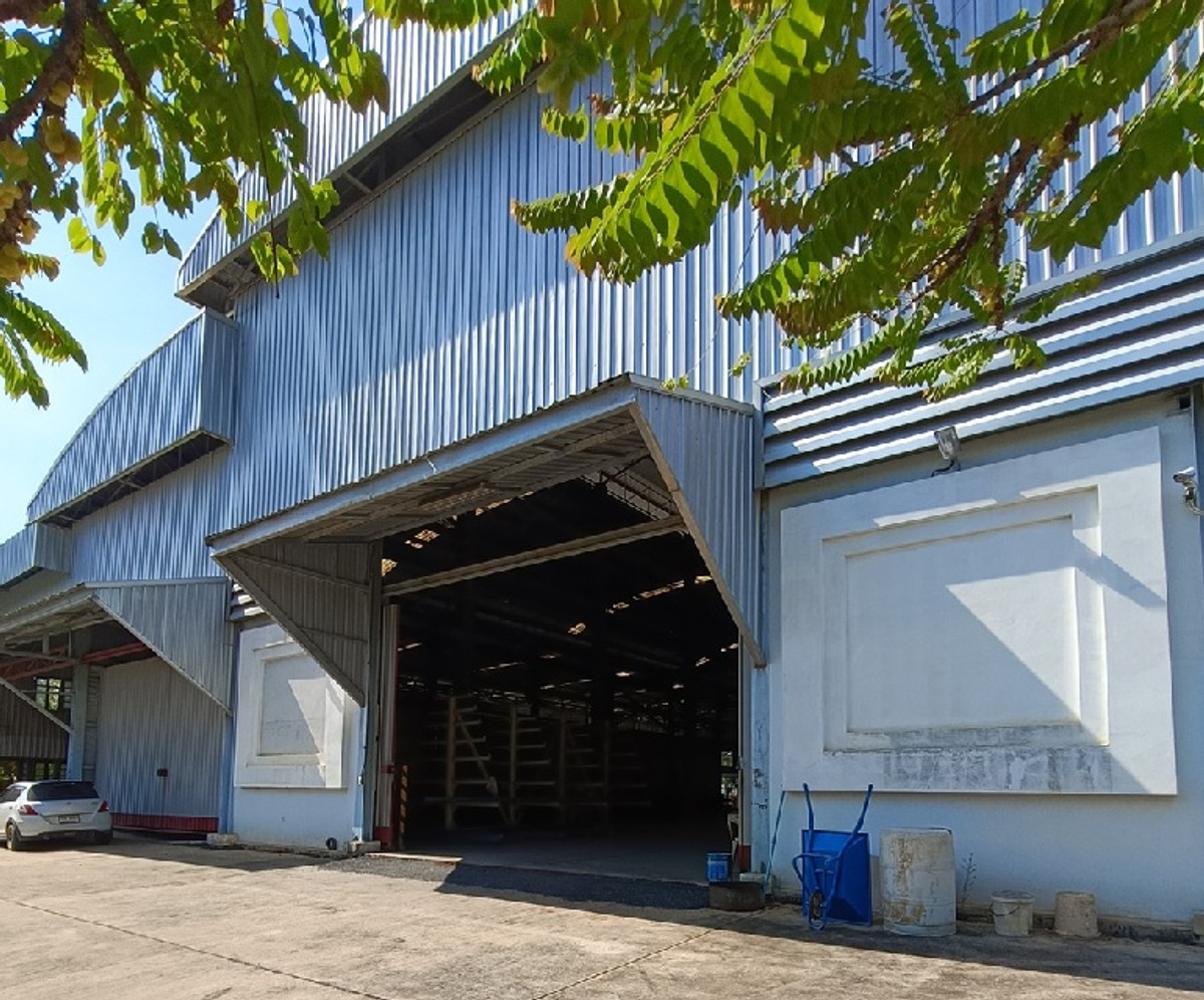 ให้เช่าโกดังปทุมธานี รังสิต ธรรมศาสตร์ : For Rent ให้เช่าโกดัง มีเครนพร้อมออฟฟิศ 4 ชั้น / ทำเล คลอง 6 ธัญบุรี / ถนนเลียบคลองหก / ใกล้ราชมงคลธัญบุรี / พื้นที่ใช้สอยรวม 1400 ตารางเมตร / รถใหญ่ เทรลเลอร์ เข้าออกสะดวก