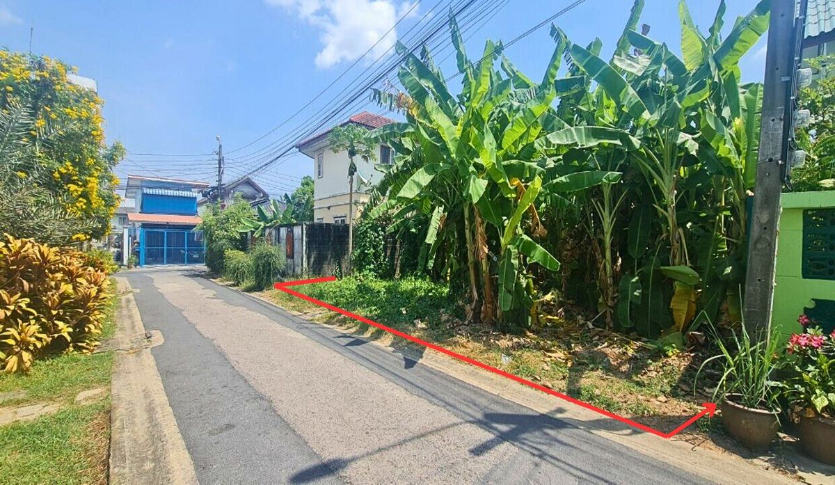 For SaleLandBang kae, Phetkasem : Land reclamation 54 Sq. Soi Petchkasem 79 Intersection 17-2-2, Nong Khaem Subdistrict, Nong Khaem District, Bangkok