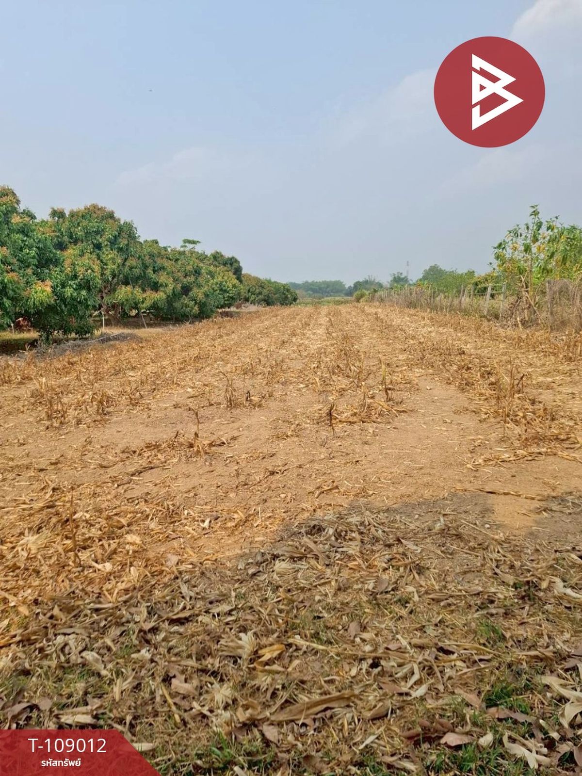 For SaleLandChiang Rai : Land for sale in an area of ​​1 rai of Chiang Rai