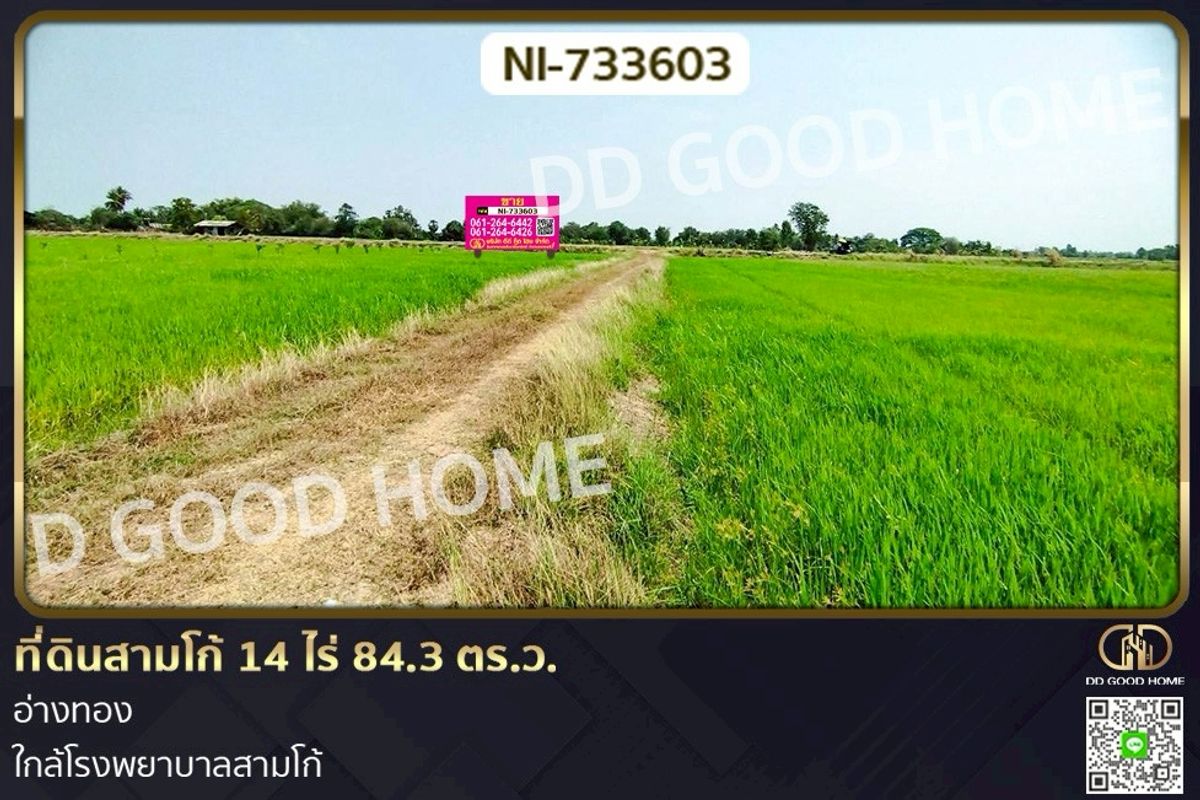 ขายที่ดินอ่างทอง : NI-733603 ที่ดินสามโก้ 14 ไร่ 84.3 ตร.ว. อ่างทอง ใกล้โรงพยาบาลสามโก้
