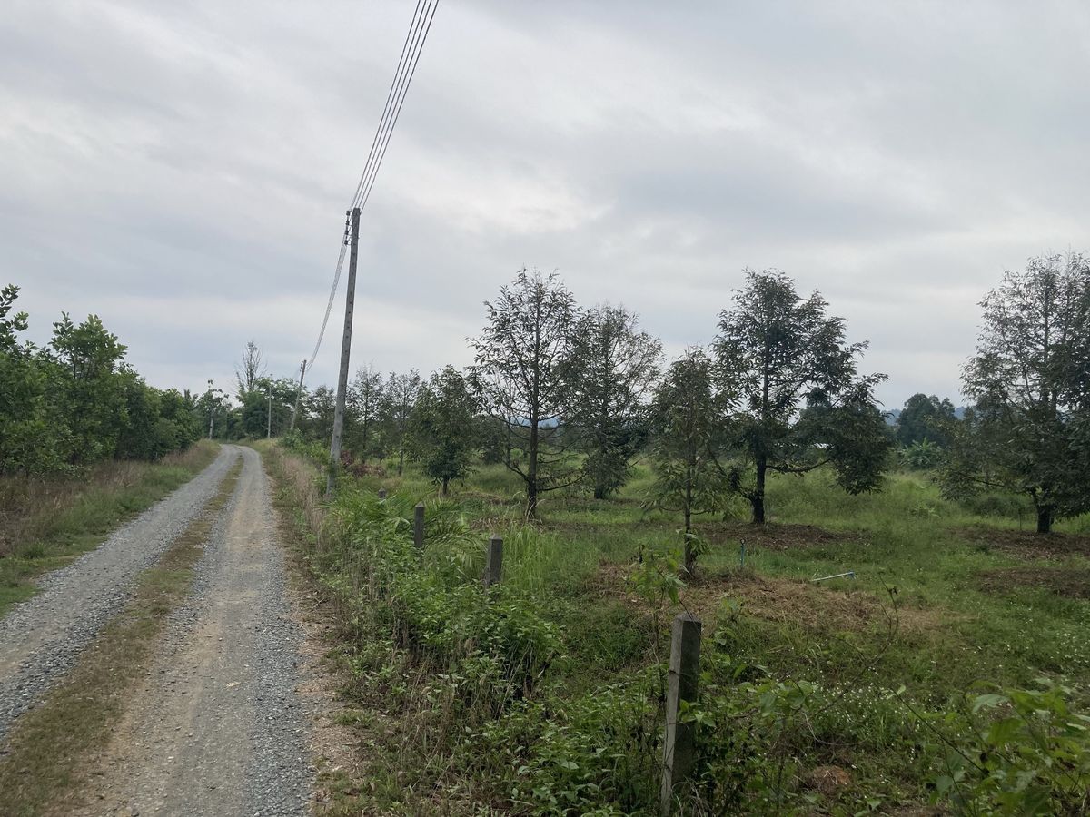 For SaleLandChanthaburi : Land for sale, durian garden, 15 rai with houses and fish ponds, good location on the special price! 💥🎉💥