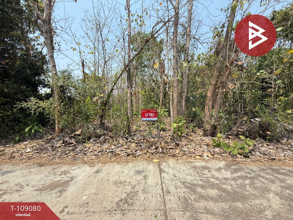For SaleLandUttaradit : Land for sale in an area of ​​1 rai 2 ngan 58 sq. Wa Khung Tap, Uttaradit