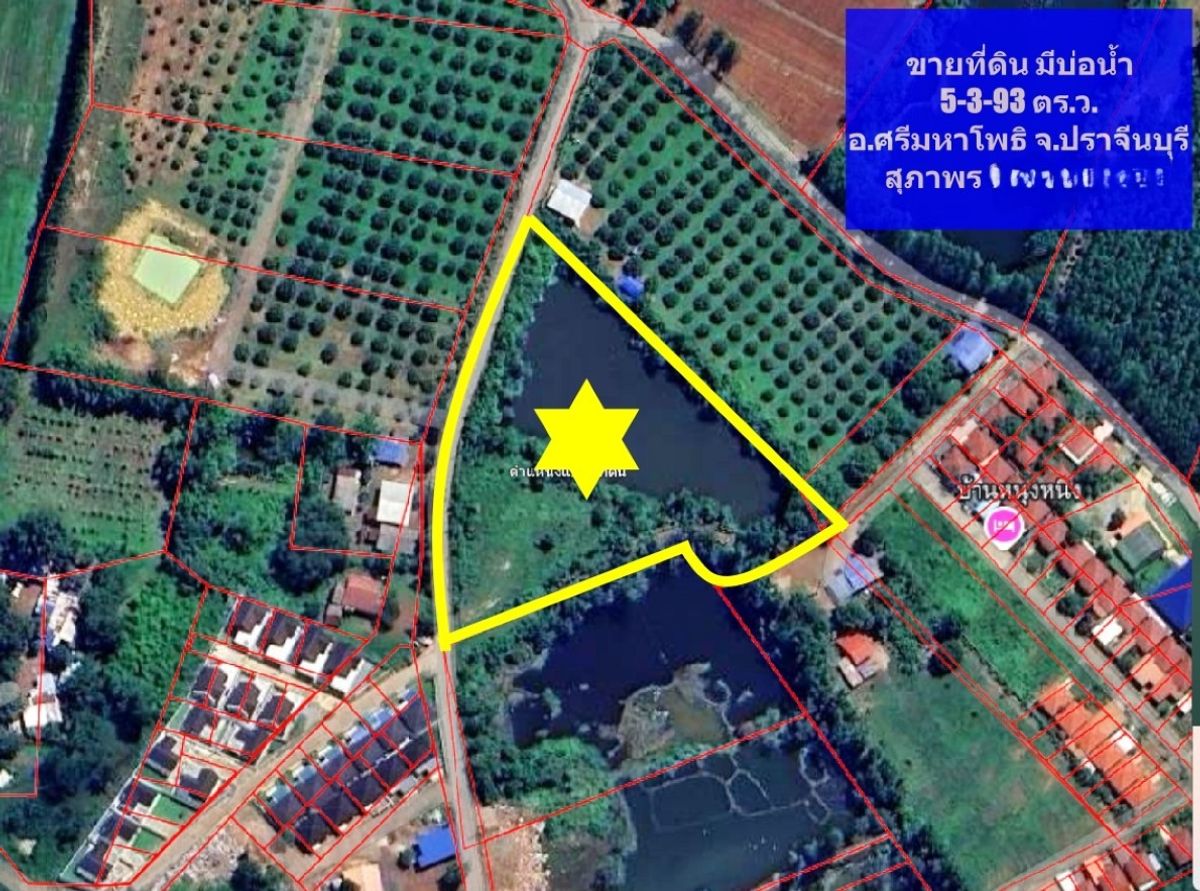 ขายที่ดินปราจีนบุรี : ขาย ที่ดิน 5 ไร่ 3 งาน 93 ตร.ว. มีบ่อน้ำ ศรีมหาโพธิ ถนนสาย 304 ปราจีนบุรี MAY