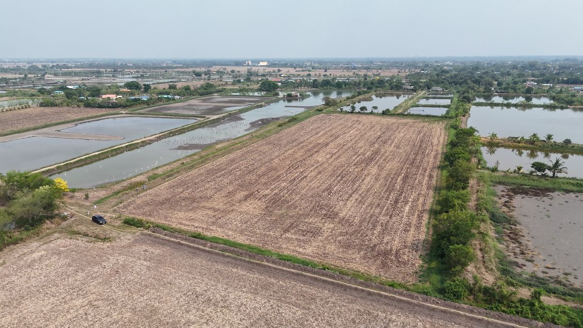 For SaleLandChachoengsao : Very beautiful land for sale, EEC, Chachoengsao Province