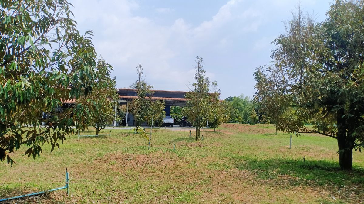 ขายบ้านจันทบุรี : ขายบ้านสวนแต่งสวย พร้อมสวน 7 ไร่ ดอนตาล