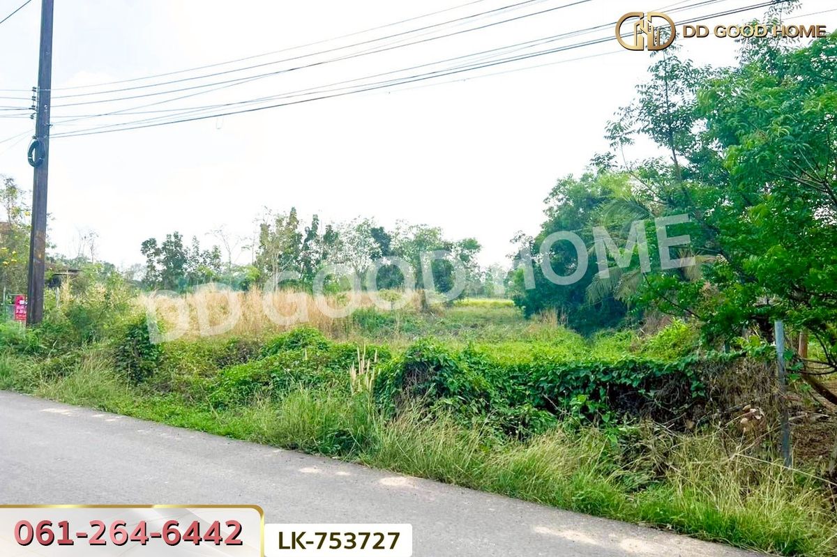 ขายที่ดินนครนายก : NI-753727 ที่ดินปากพลี 5 ไร่ 255.4 ตร.ว. นครนายก ใกล้วัดดงแขวน