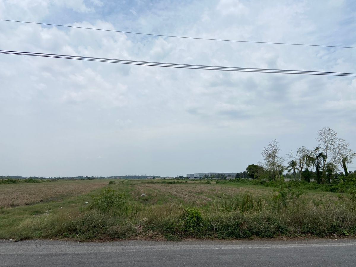 ขายที่ดินปทุมธานี รังสิต ธรรมศาสตร์ : ที่ดินแปลงสวย ทำเลดี ใกล้ห้างสรรพสินค้า เหมาะดำเนินกิจการ นัดชมได้