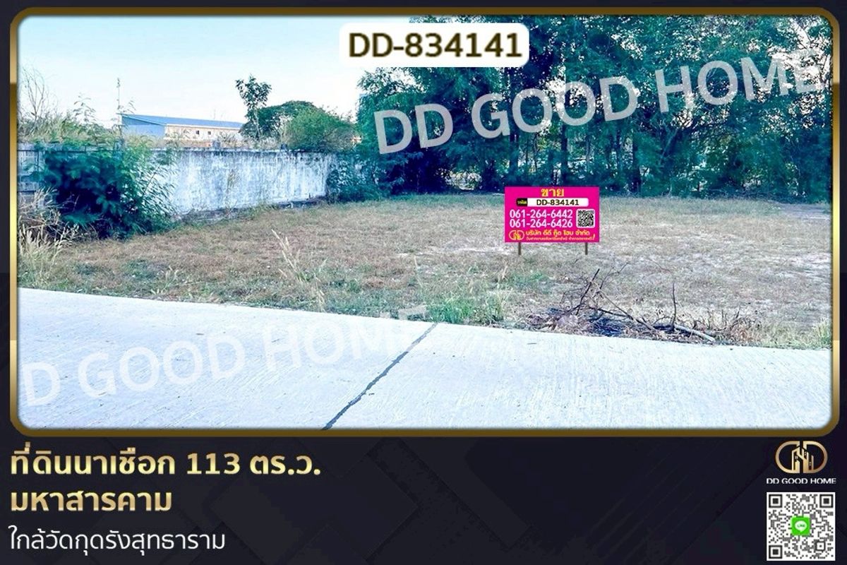 ขายที่ดินมหาสารคาม : DD-834141 ที่ดินนาเชือก 113 ตร.ว. มหาสารคาม ใกล้วัดกุดรังสุทธาราม