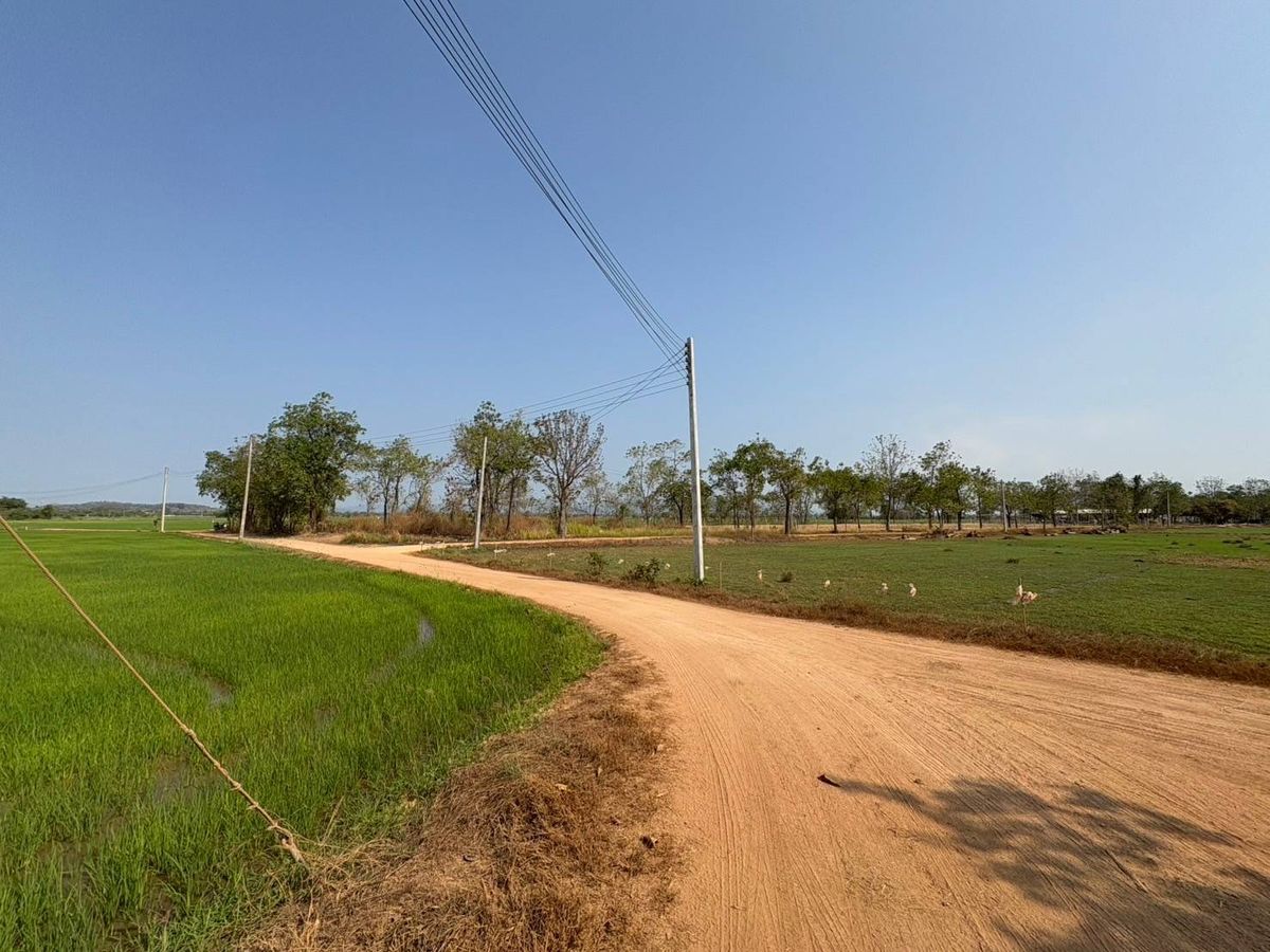 For SaleLandUttaradit : 5 rai of land for sale, good location near the community And university