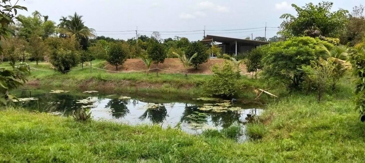 ขายบ้านจันทบุรี : ขายบ้านสวนแต่งสวย พร้อมสวน 7 ไร่ ดอนตาล