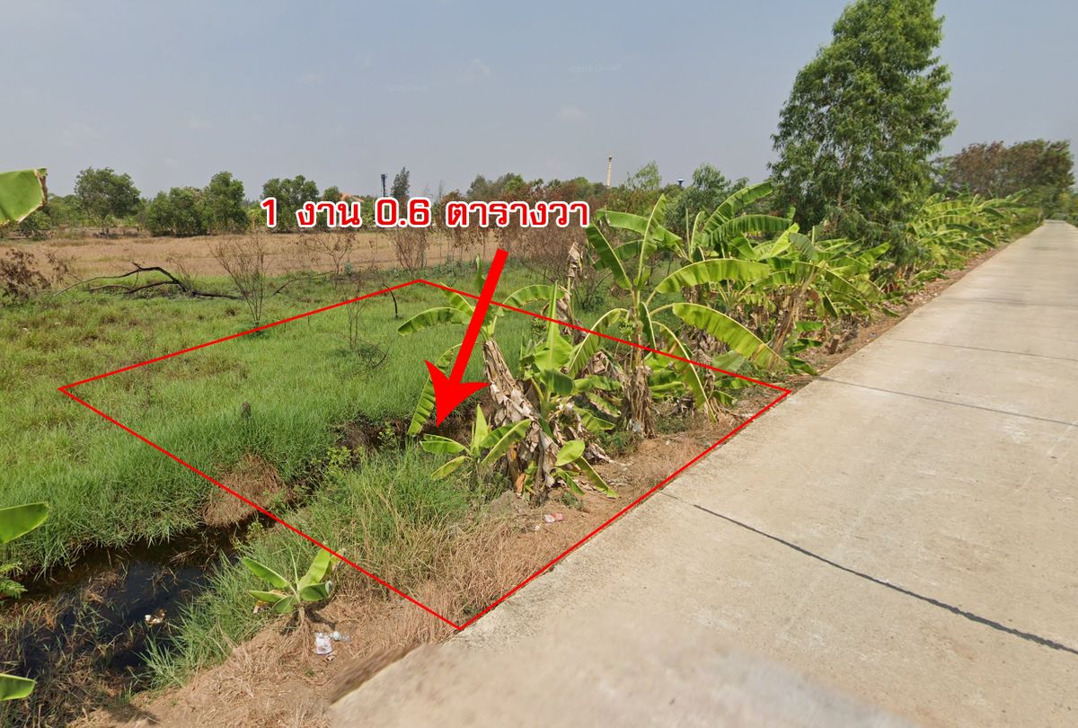 ขายที่ดินอยุธยา : ขายที่ดิน 1 งาน พิกัดอยุธยา