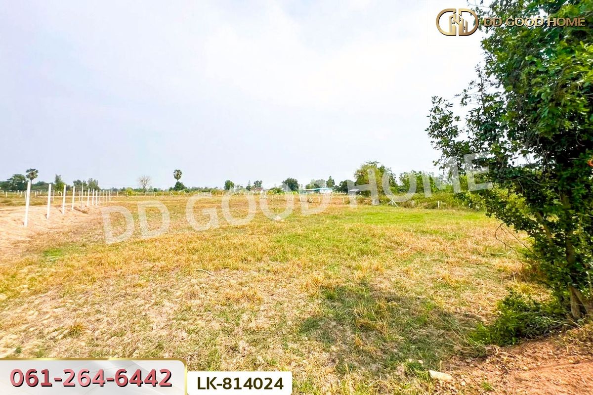 ขายที่ดินสุพรรณบุรี : FN-814024 ที่ดินหนองหญ้าไซ 1 ไร่ สุพรรณบุรี ใกล้วัดบัลลังก์