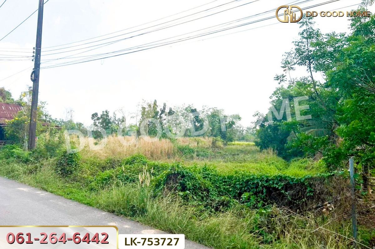 ขายที่ดินนครนายก : NI-753727 ที่ดินปากพลี 5 ไร่ 255.4 ตร.ว. นครนายก ใกล้วัดดงแขวน