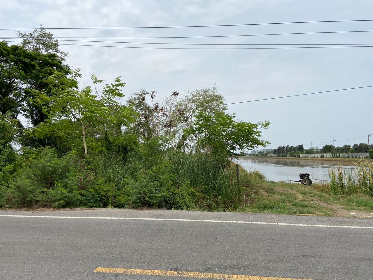 ขายที่ดินปทุมธานี รังสิต ธรรมศาสตร์ : ที่ดินแปลงสวย ทำเลดี ใกล้ห้างสรรพสินค้า เหมาะดำเนินกิจการ นัดชมได้