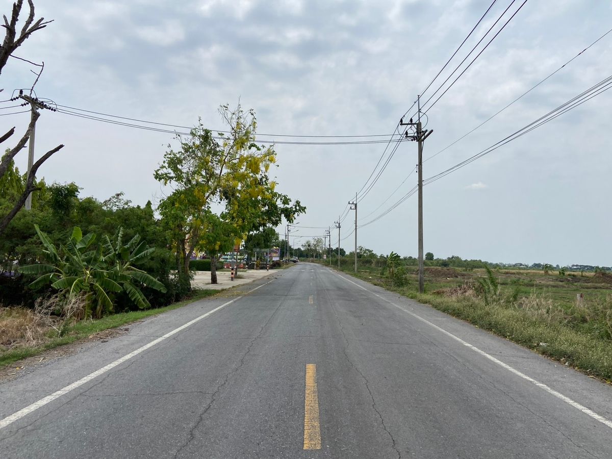 ขายที่ดินปทุมธานี รังสิต ธรรมศาสตร์ : ที่ดินแปลงสวย ทำเลดี ใกล้ห้างสรรพสินค้า เหมาะดำเนินกิจการ นัดชมได้