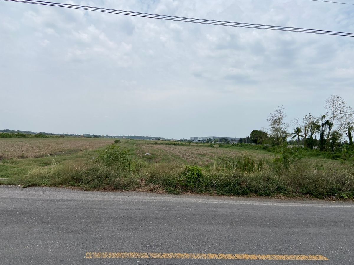 ขายที่ดินปทุมธานี รังสิต ธรรมศาสตร์ : ที่ดินแปลงสวย ทำเลดี ใกล้ห้างสรรพสินค้า เหมาะดำเนินกิจการ นัดชมได้