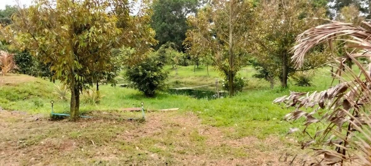 ขายบ้านจันทบุรี : ขายบ้านสวนแต่งสวย พร้อมสวน 7 ไร่ ดอนตาล