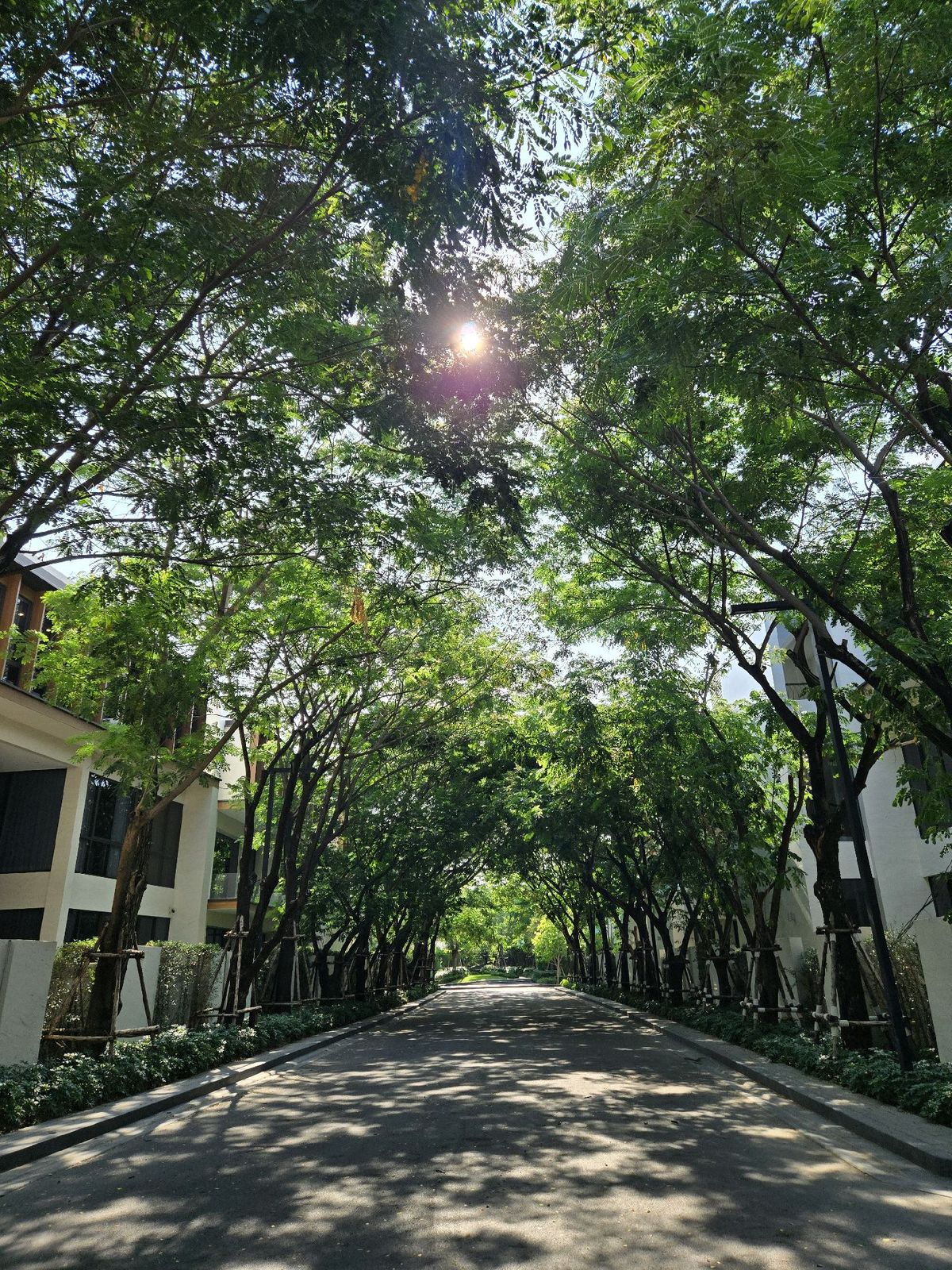 For SaleHousePattanakan, Srinakarin : 🚩 มือ 1 ซื้อตรงโครงการ 𝐏𝐀𝐑𝐊 𝐇𝐄𝐑𝐈𝐓𝐀𝐆𝐄 𝐏𝐀𝐓𝐓𝐀𝐍𝐀𝐊𝐀𝐑𝐍 มีสระ 64.5 ล้านบาท