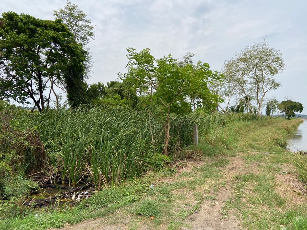 ขายที่ดินปทุมธานี รังสิต ธรรมศาสตร์ : ที่ดินแปลงสวย ทำเลดี ใกล้ห้างสรรพสินค้า เหมาะดำเนินกิจการ นัดชมได้