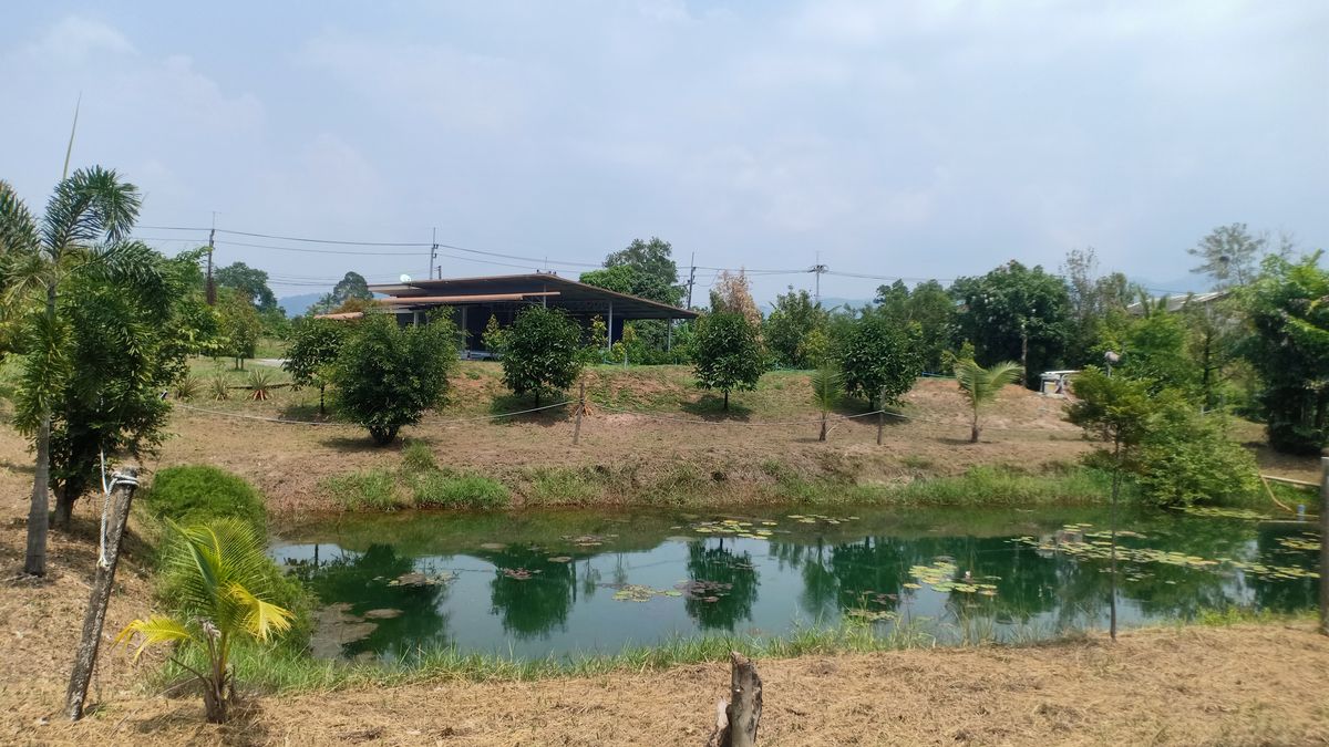 ขายบ้านจันทบุรี : ขายบ้านสวนแต่งสวย พร้อมสวน 7 ไร่ ดอนตาล