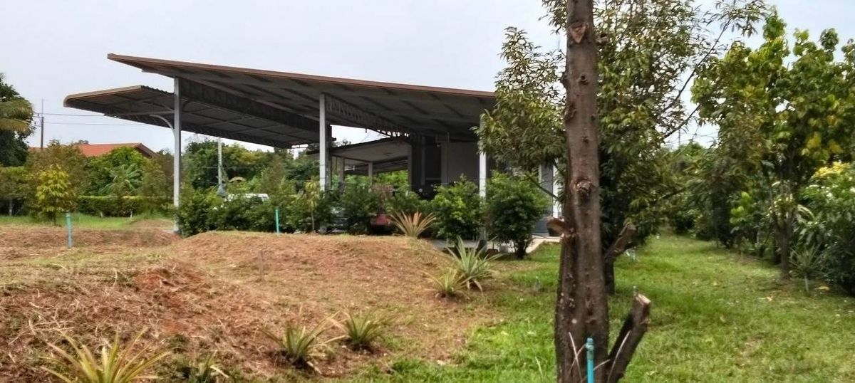 ขายบ้านจันทบุรี : ขายบ้านสวนแต่งสวย พร้อมสวน 7 ไร่ ดอนตาล