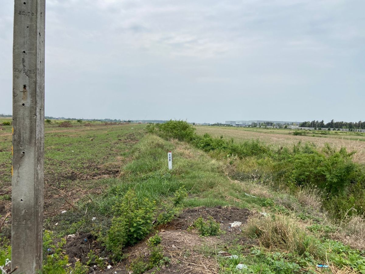 ขายที่ดินปทุมธานี รังสิต ธรรมศาสตร์ : ที่ดินแปลงสวย ทำเลดี ใกล้ห้างสรรพสินค้า เหมาะดำเนินกิจการ นัดชมได้