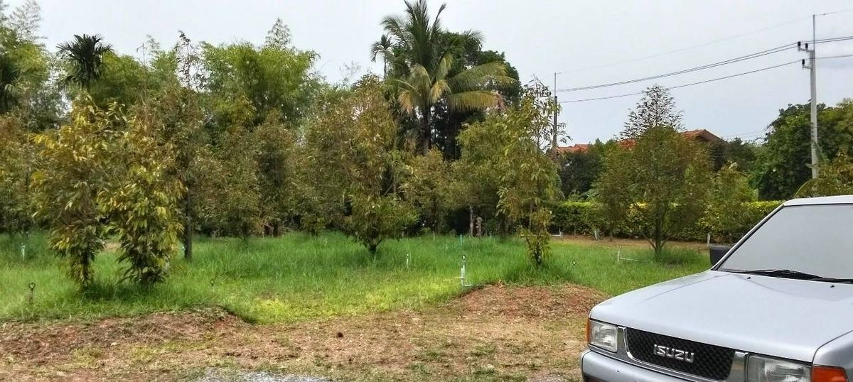 ขายบ้านจันทบุรี : ขายบ้านสวนแต่งสวย พร้อมสวน 7 ไร่ ดอนตาล