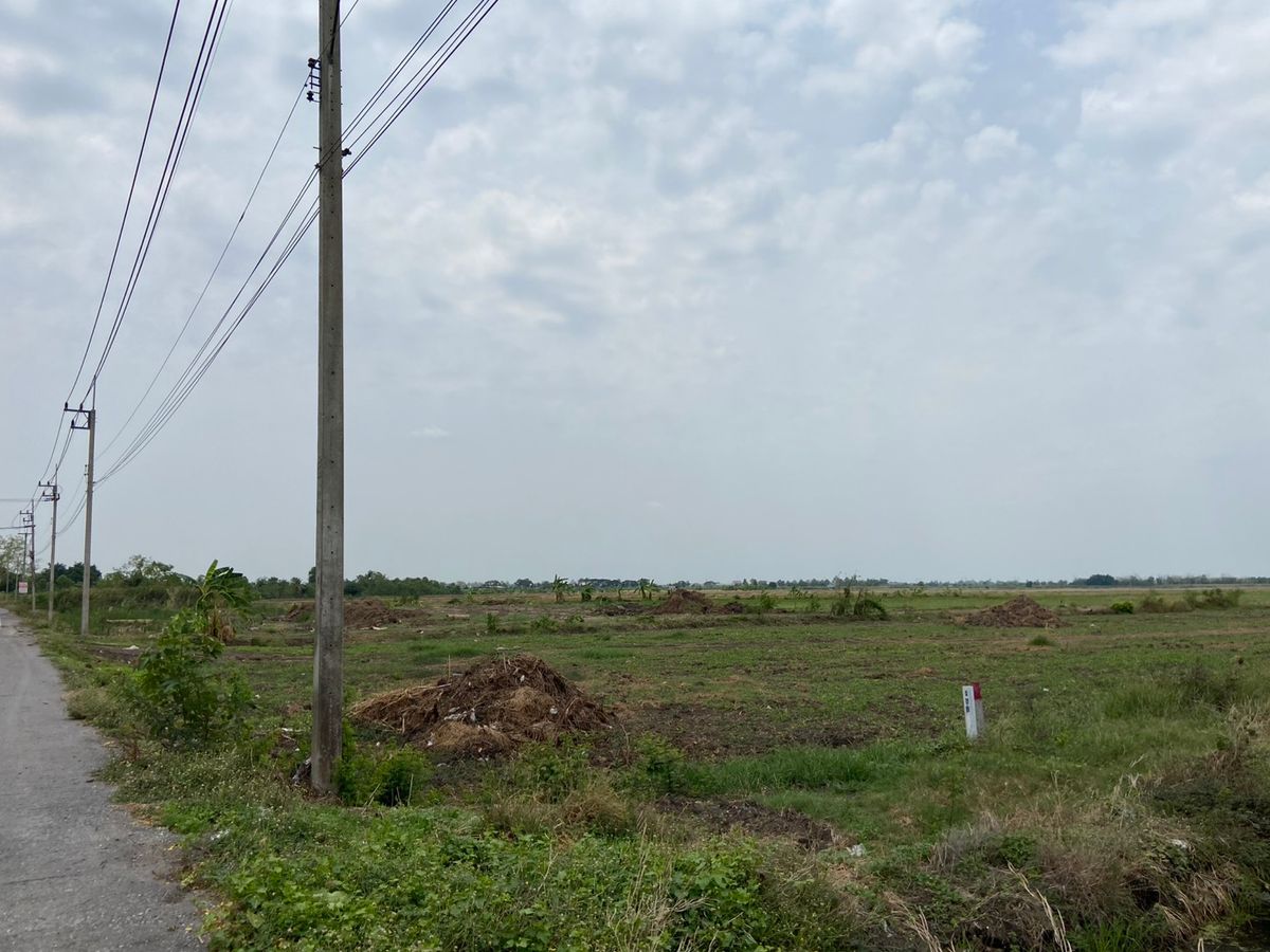 ขายที่ดินปทุมธานี รังสิต ธรรมศาสตร์ : ที่ดินแปลงสวย ทำเลดี ใกล้ห้างสรรพสินค้า เหมาะดำเนินกิจการ นัดชมได้