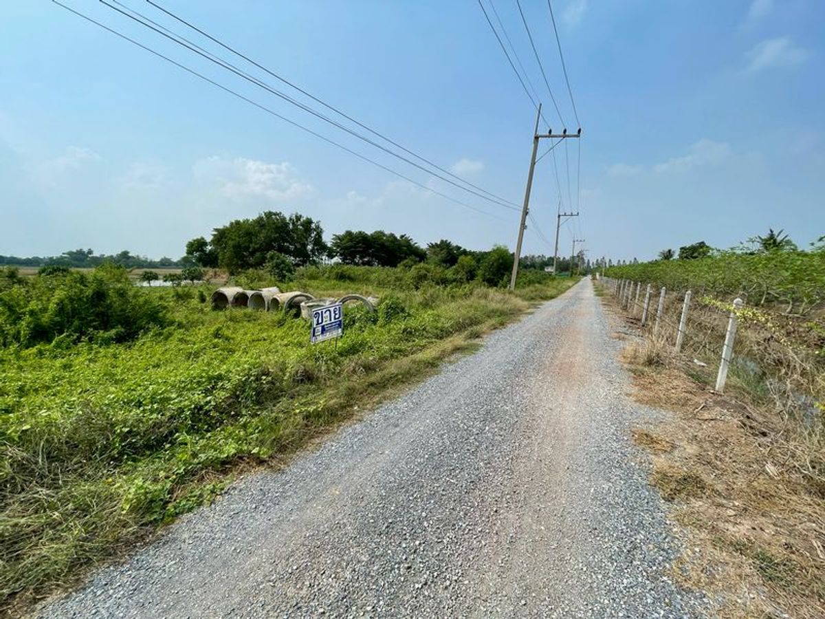 ขายที่ดินปทุมธานี รังสิต ธรรมศาสตร์ : ขายที่ดิน 100 ตรว ลาดหลุมแก้ว ใกล้วัดเจดีย์หอย ตำบลระแหง อำเภอลาดหลุมแก้ว จังหวัดปทุมธานี