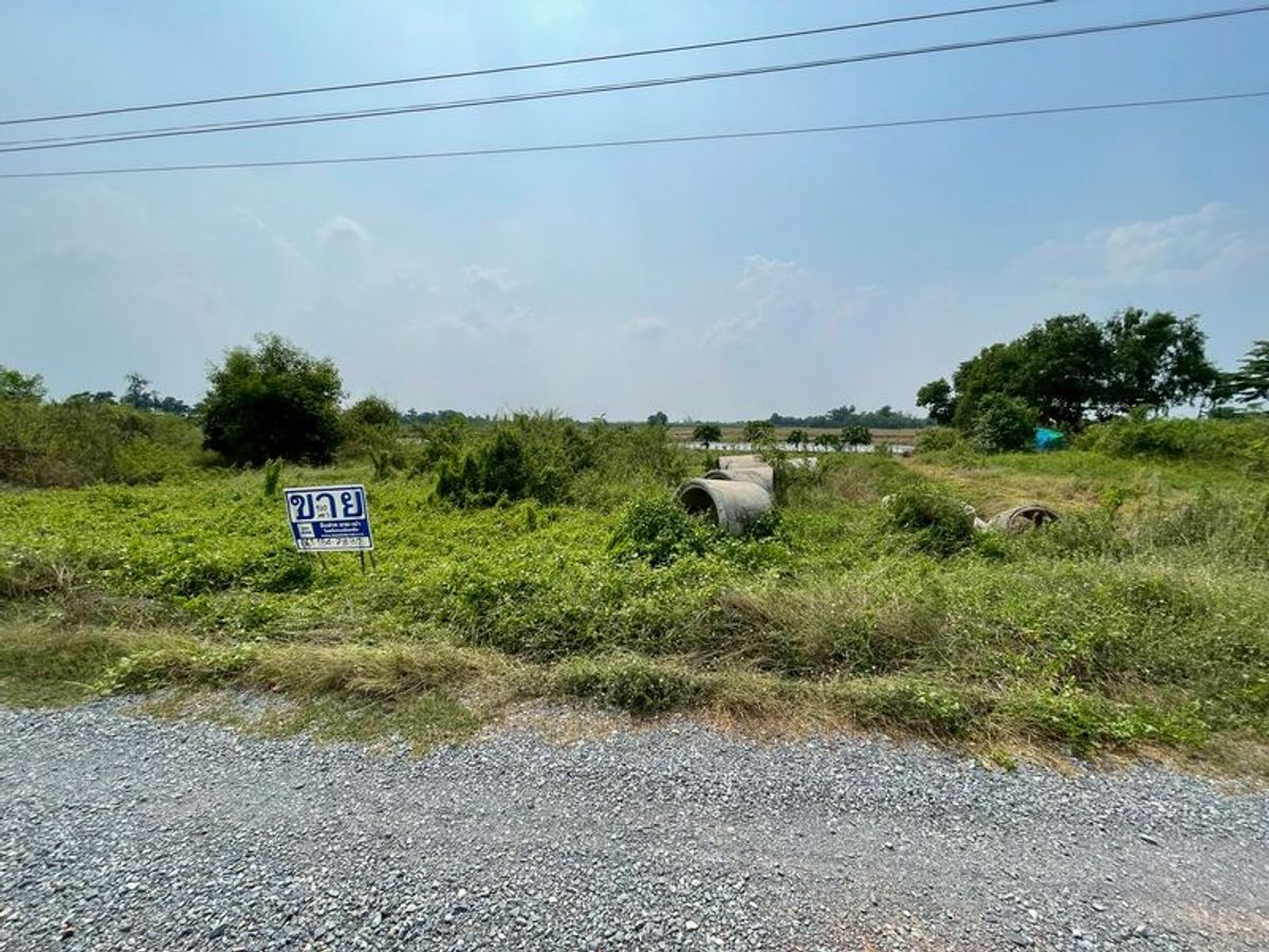 ขายที่ดินปทุมธานี รังสิต ธรรมศาสตร์ : ขายที่ดิน 100 ตรว ลาดหลุมแก้ว ใกล้วัดเจดีย์หอย ตำบลระแหง อำเภอลาดหลุมแก้ว จังหวัดปทุมธานี