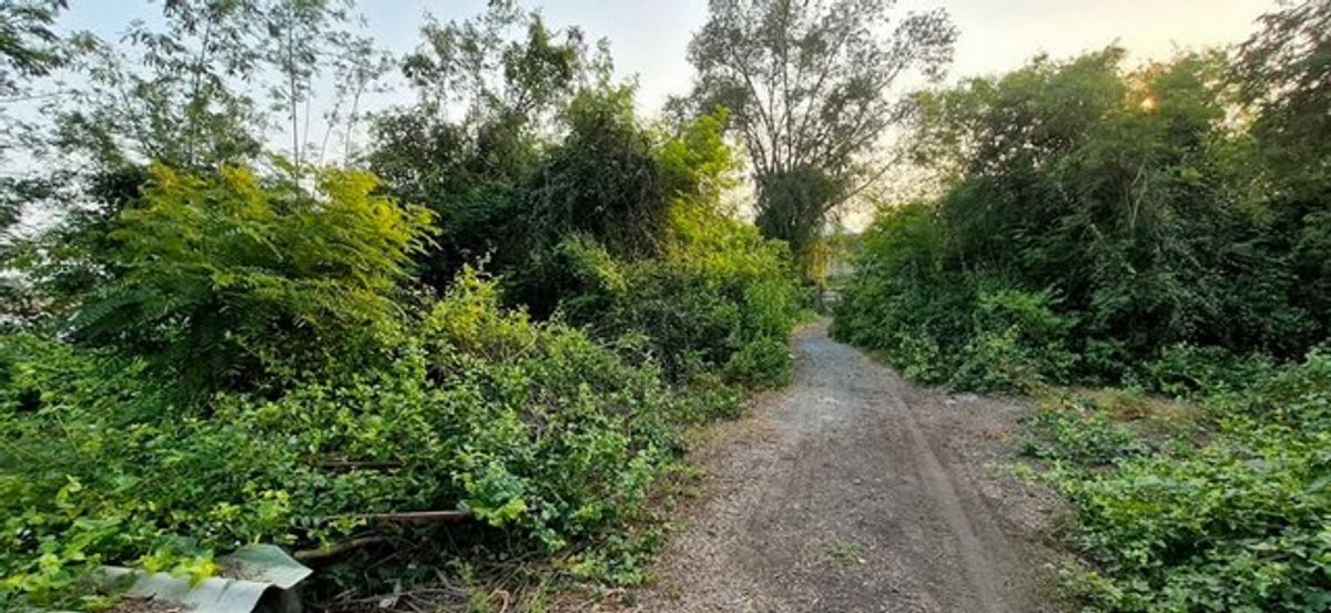 ขายที่ดินนครปฐม : ขายที่ดินเปล่า หลังปั๊มน้ำมันปตท.มาลัยแมนกม.39  โฉนดน.ส.4 จ (ครุฑแดง)   4-3-86 ไร่   ต.ห้วยม่วง อ.กำแพงแสน จ.นครปฐม เหลือเพียงไร่ละ 1.15 ล้านบาท