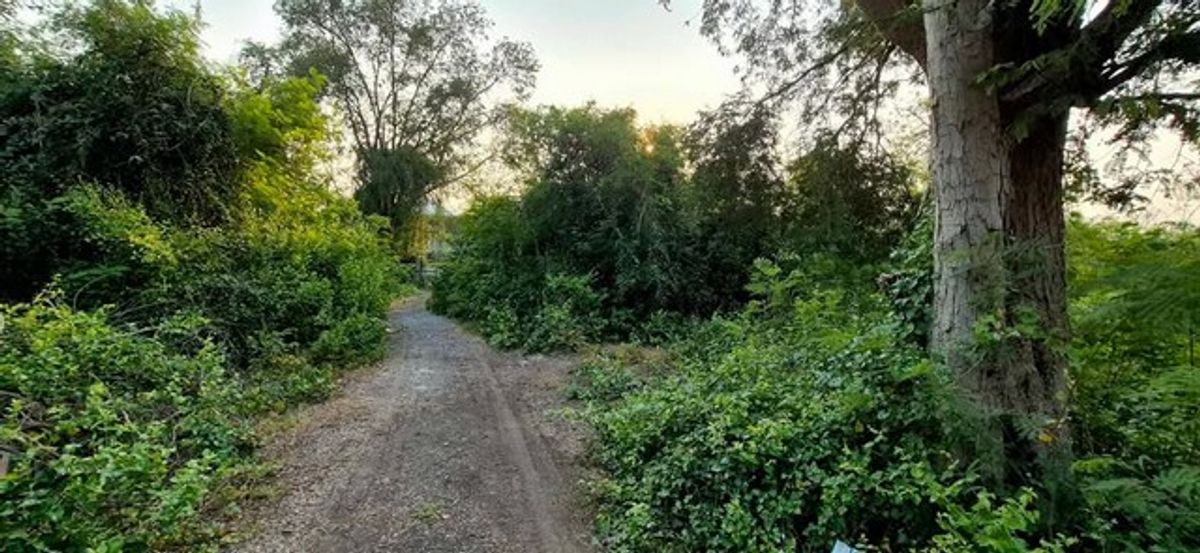 ขายที่ดินนครปฐม : ขายที่ดินเปล่า หลังปั๊มน้ำมันปตท.มาลัยแมนกม.39  โฉนดน.ส.4 จ (ครุฑแดง)   4-3-86 ไร่   ต.ห้วยม่วง อ.กำแพงแสน จ.นครปฐม เหลือเพียงไร่ละ 1.15 ล้านบาท