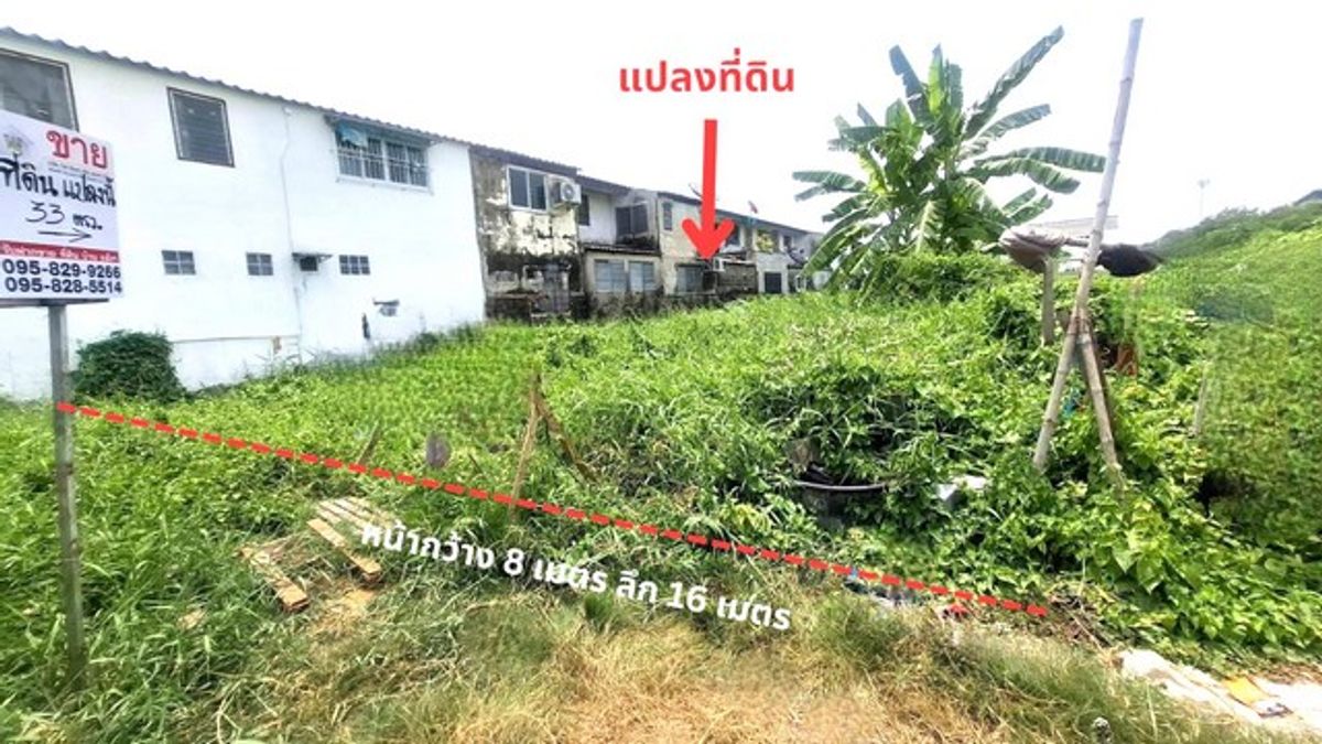 ขายที่ดินนวมินทร์ รามอินทรา : ขายถูกที่ดิน 33 ตรว.ขายเท่าราคาประเมิน ซอยพหลโยธิน 52 แยก 35 ใกล้รถไฟฟ้าสายสีเขียวสถานีสะพานใหม่,ตลาดยิ่งเจริญ สายไหม กรุงเทพ