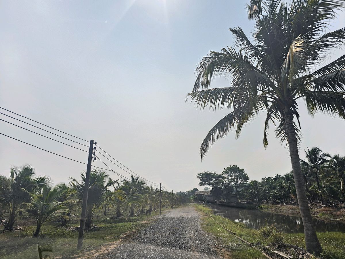 ขายที่ดินจันทบุรี : ขายสวนทุเรียน 38 ไร่ จันทบุรี
