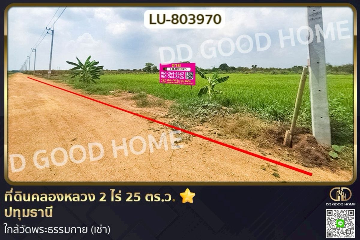 For RentLandPathum Thani,Rangsit, Thammasat : LU-803970 Land, Khlong Luang, 2 rai 25 sq w, Pathum Thani, near Wat Phra Dhammakaya (for rent)