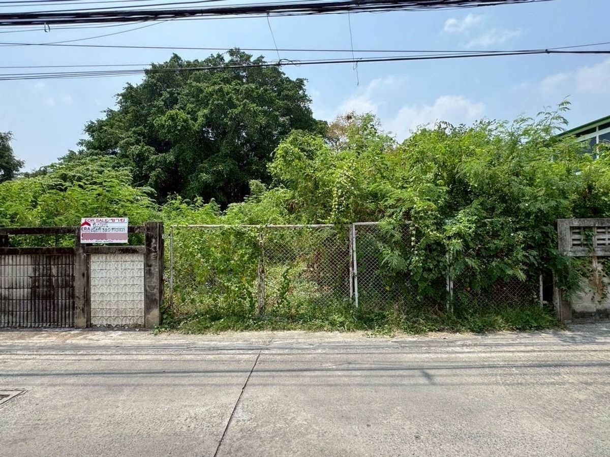 For SaleLandRama5, Ratchapruek, Bangkruai : Land for sale 320.5 sq.w. Soi Tiwanon 3, Intersection 11, opposite the Ministry of Public Health
