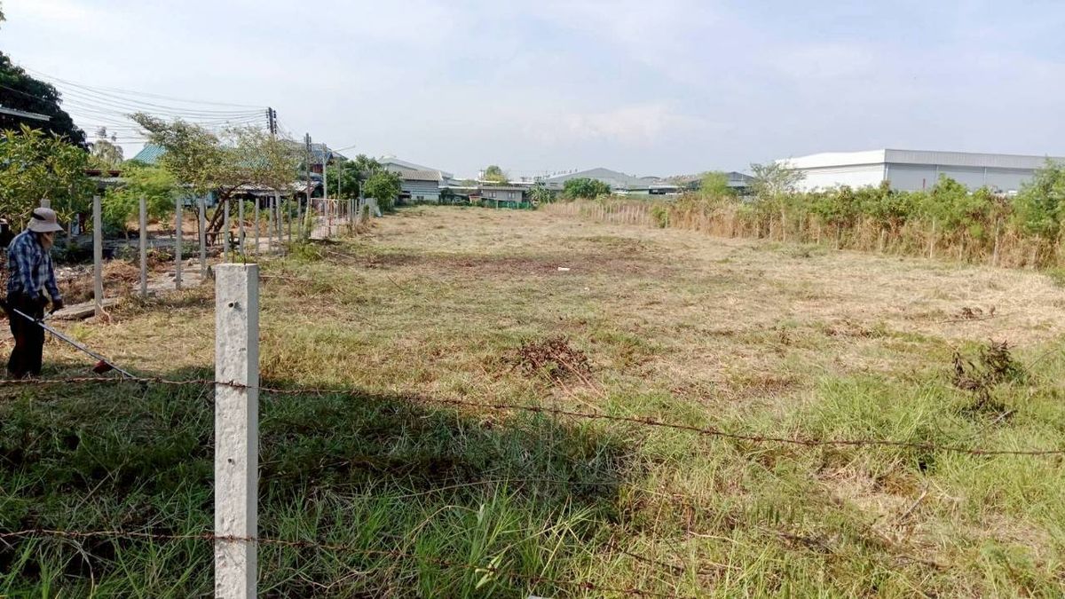 For SaleLandChachoengsao : Land for sale in Bang Pakong, good location on Charan Yanon Road 9, near Bang Na Trat Road