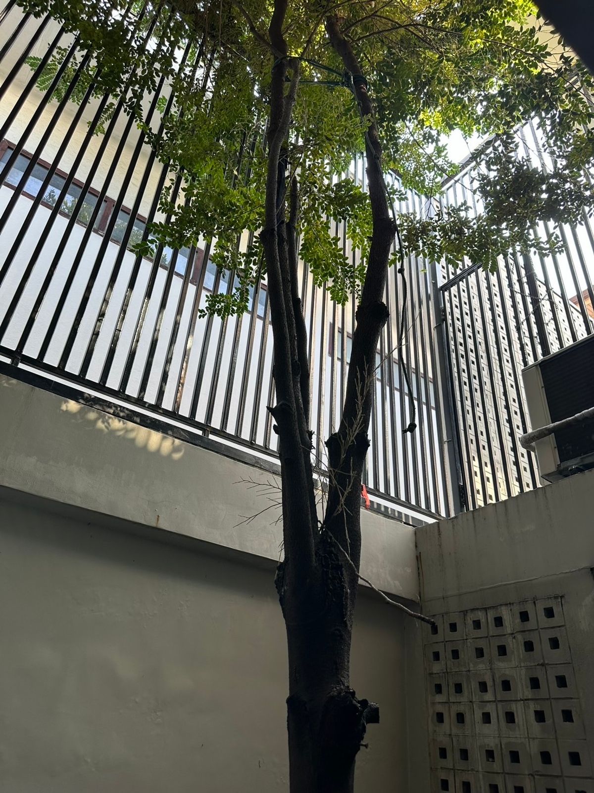 For SaleHome OfficeRatchadapisek, Huaikwang, Suttisan : 📢👇 Home Office near MRT Sutthisan Central Rama 9, Esplanade Ratchada, Fortune Town, Ratchada Railway Market