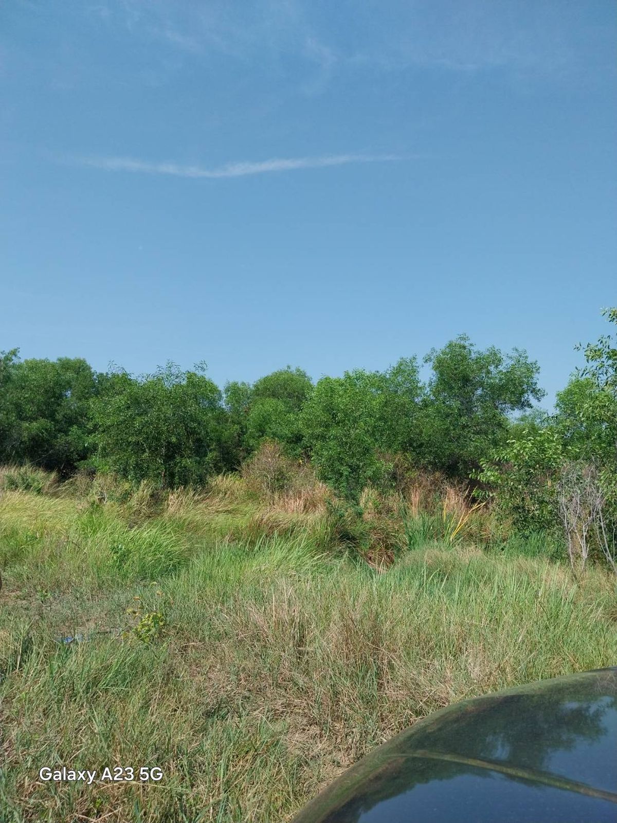 For SaleLandNakhon Nayok : Land for sale in an area of ​​2 rai 1 ngan 49 sq.m. 420,000 per rai