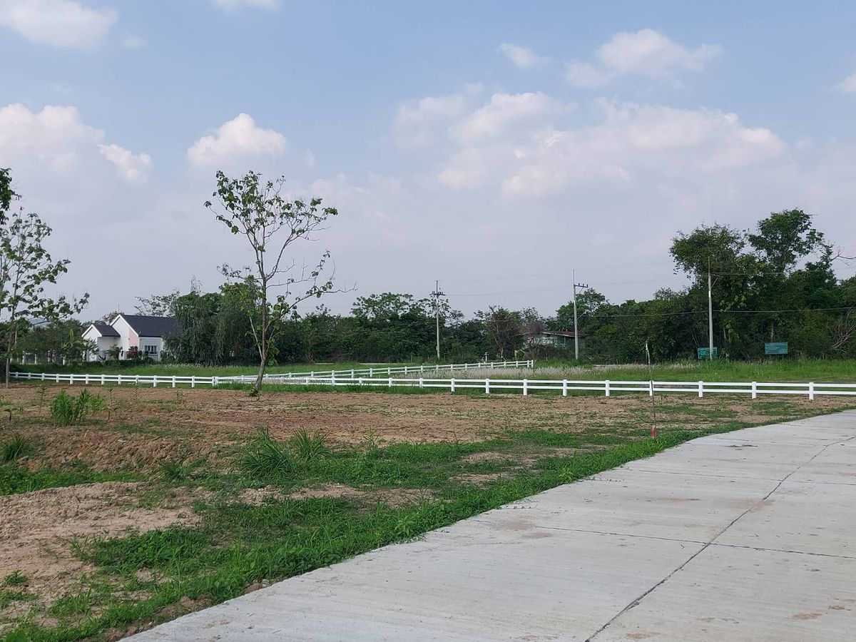 For SaleLandPak Chong KhaoYai : Khao Yai View Land Suitable for building a house or making betella from Tosca for only 5 minutes.
