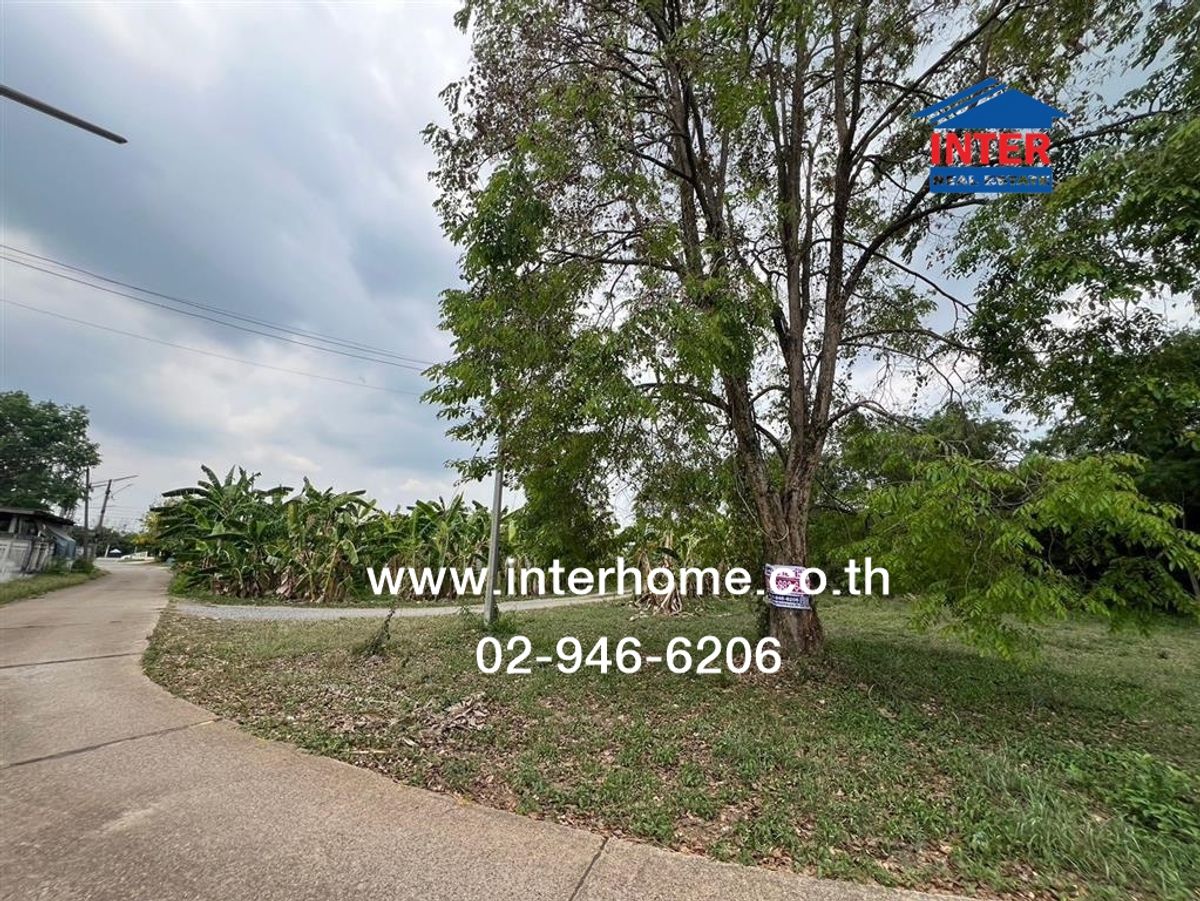 ขายที่ดินพัทยา บางแสน ชลบุรี สัตหีบ : ที่ดินเปล่า 45 ตร.ว. ที่ดินเปล่า ใกล้โรงพยาบาลพนัสนิคม ถนนทางหลวงหมายเลข3284 พนัสนิคม ชลบุรี