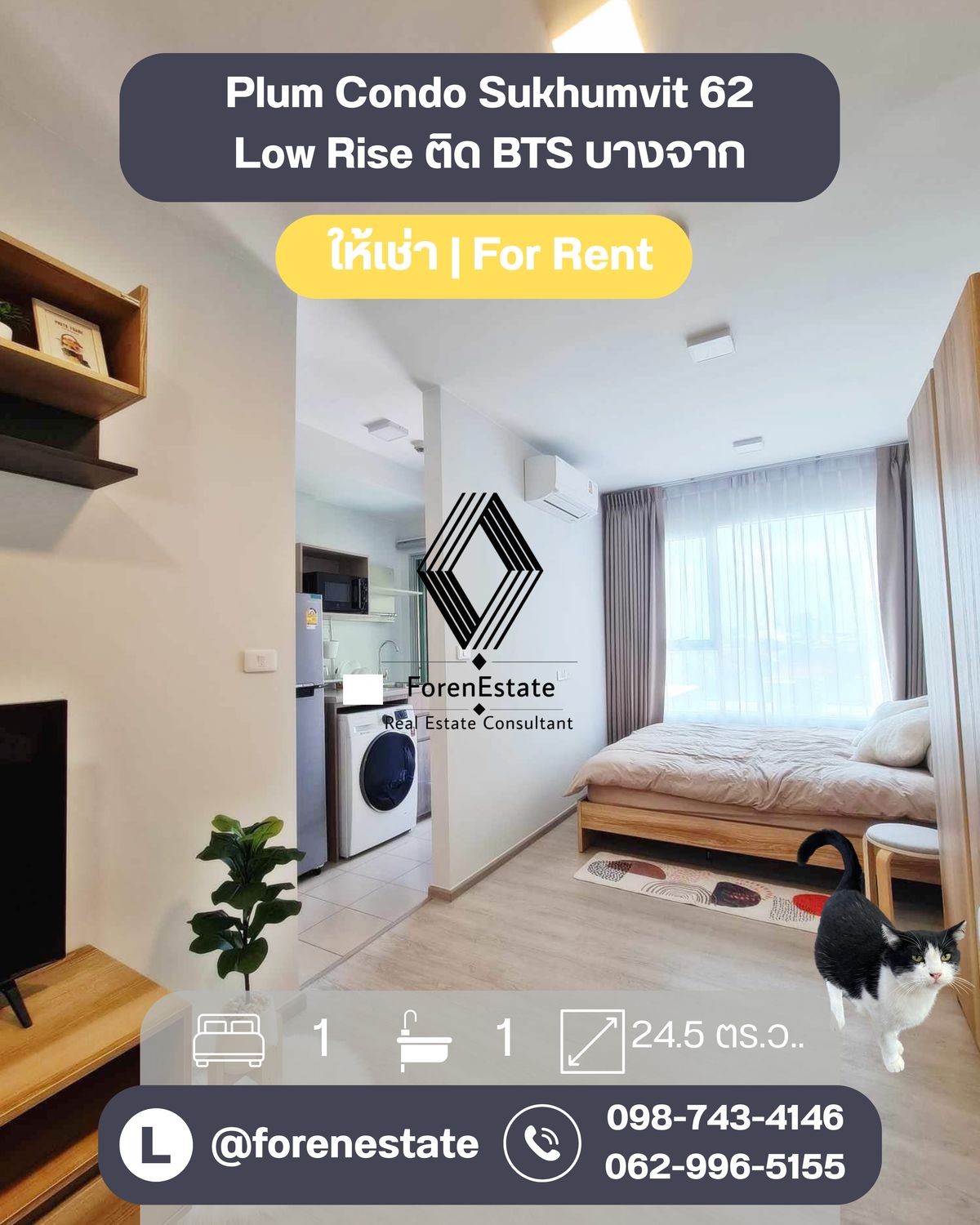 ให้เช่าคอนโดอ่อนนุช อุดมสุข : หากันให้ควัก!! ราคาก็ถูกเกิ๊นนน  (Low Rise) Plum Condo Sukhumvit 62 - BTS บางจาก เดินถึง